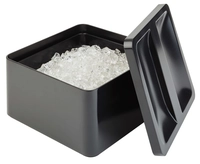 Eisbox, 27 x 27 cm, H: 15 cm Box + Deckel aus SAN_1